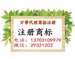 邯鄲公司注冊 內(nèi)資公司注冊 領取營業(yè)執(zhí)照等 無地址辦人力資源專業(yè)